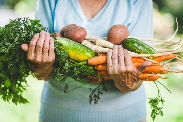 woman holding fresh vegetables from garden